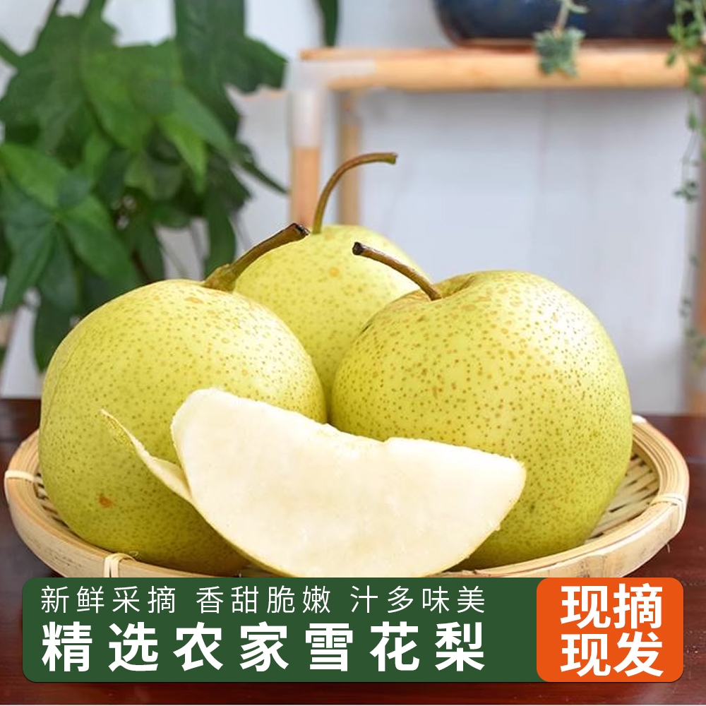 云南泸西雪花梨5kg
