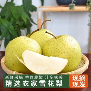 云南瀘西雪花梨5kg