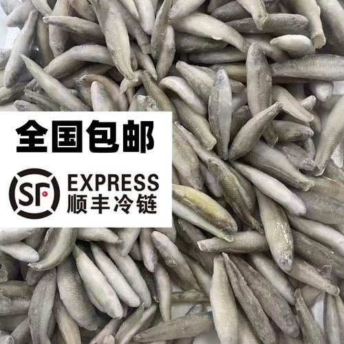 北水冷冻山根麦穗丁鱼龙虎魟鱼食
