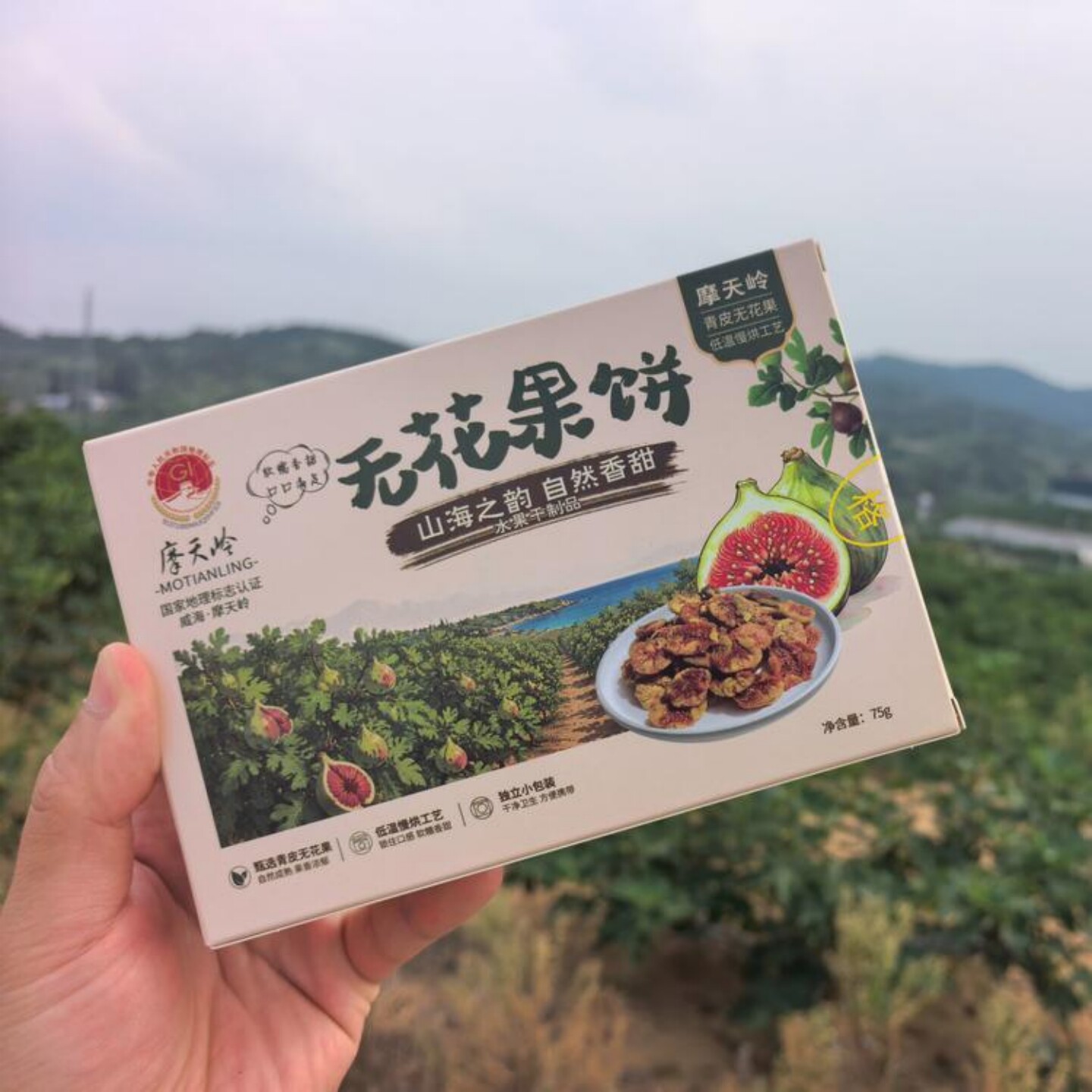 摩天岭青皮无花果饼无花果干