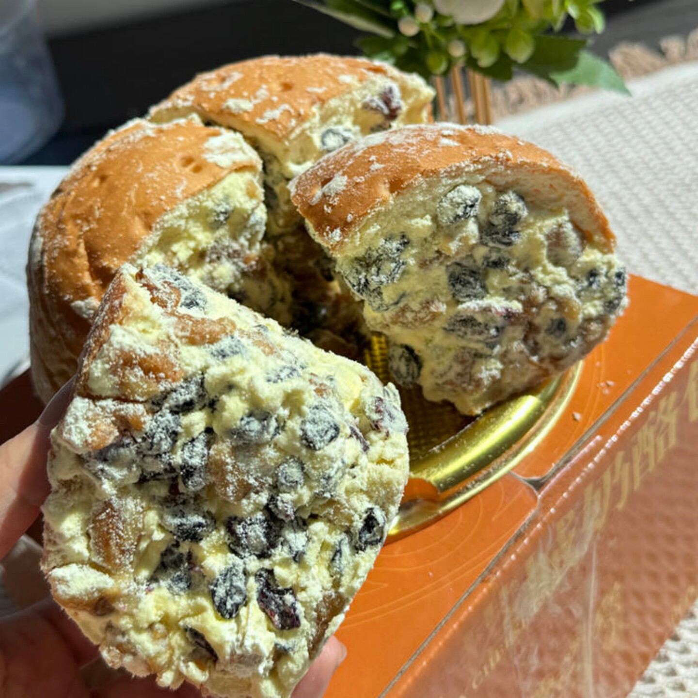 亩育万物新疆塔城奶酪包解馋轻食
