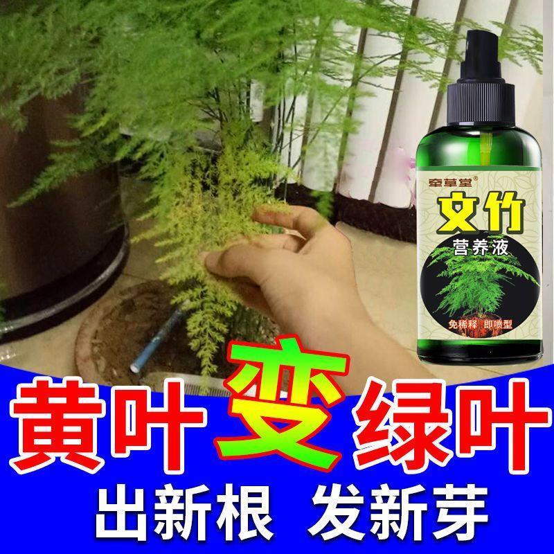 喜酸性植物营养液【云竹黄叶怎么办】...