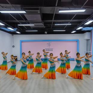 儿童傣族舞蹈演出服装女童孔雀舞缅甸花开朵朵香艺考练习团体表演