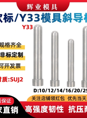 塑胶模具圆头秀y33欧标斜导柱10/12/14/16/20/25/30非标定制