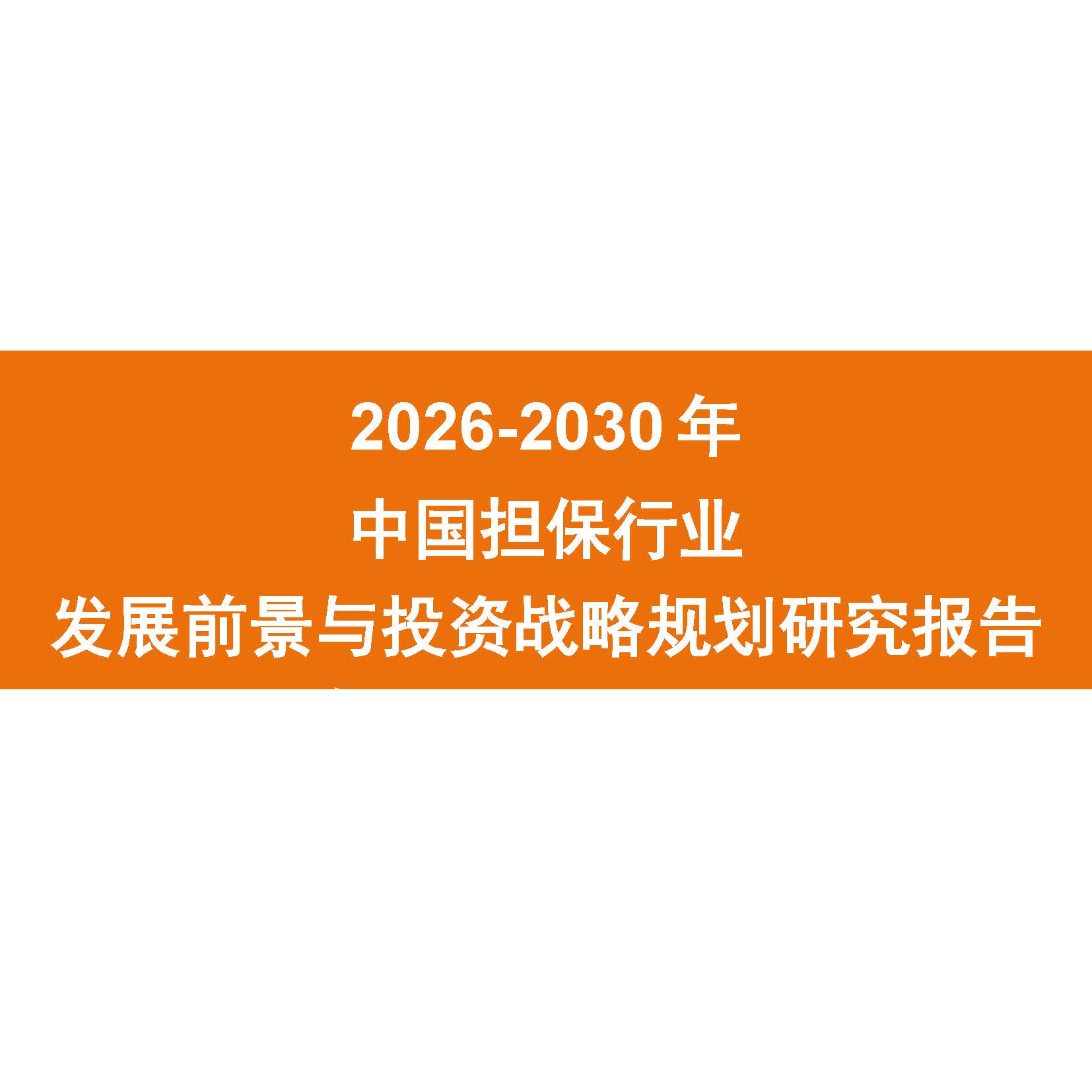 2026-2030年中国担保行业发展前景与投资战略规划研究报告