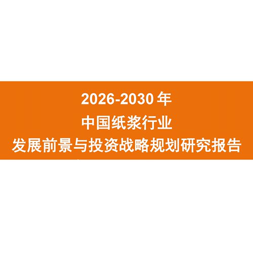 2026-2030年中国纸浆行业发展前景与投资战略规划研究报告
