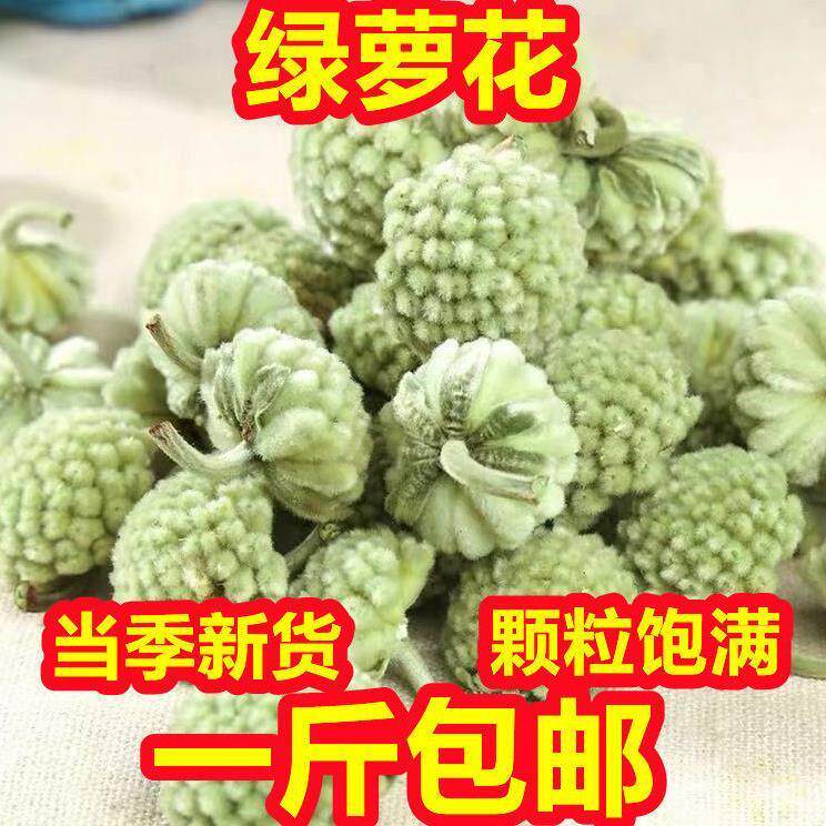 绿萝花茶袋装西藏绿罗花