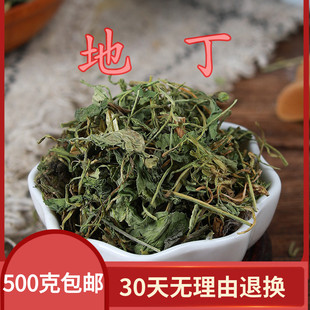 中药材紫花地丁苦地丁草铧头草光瓣堇菜犁头草500克包邮