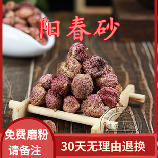 阳春春砂仁500g 特产 农家春砂仁 春砂仁广东砂仁春砂仁包邮