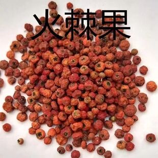 正品火棘果中药材赤阳子救兵粮无硫救军粮纯阳子新货火把果500克