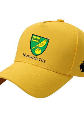 定制NorwichCity诺维奇足球