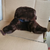 库存老货雷锋帽男女冬季 加厚羊毛保暖防寒护耳帽户外骑行防风棉帽