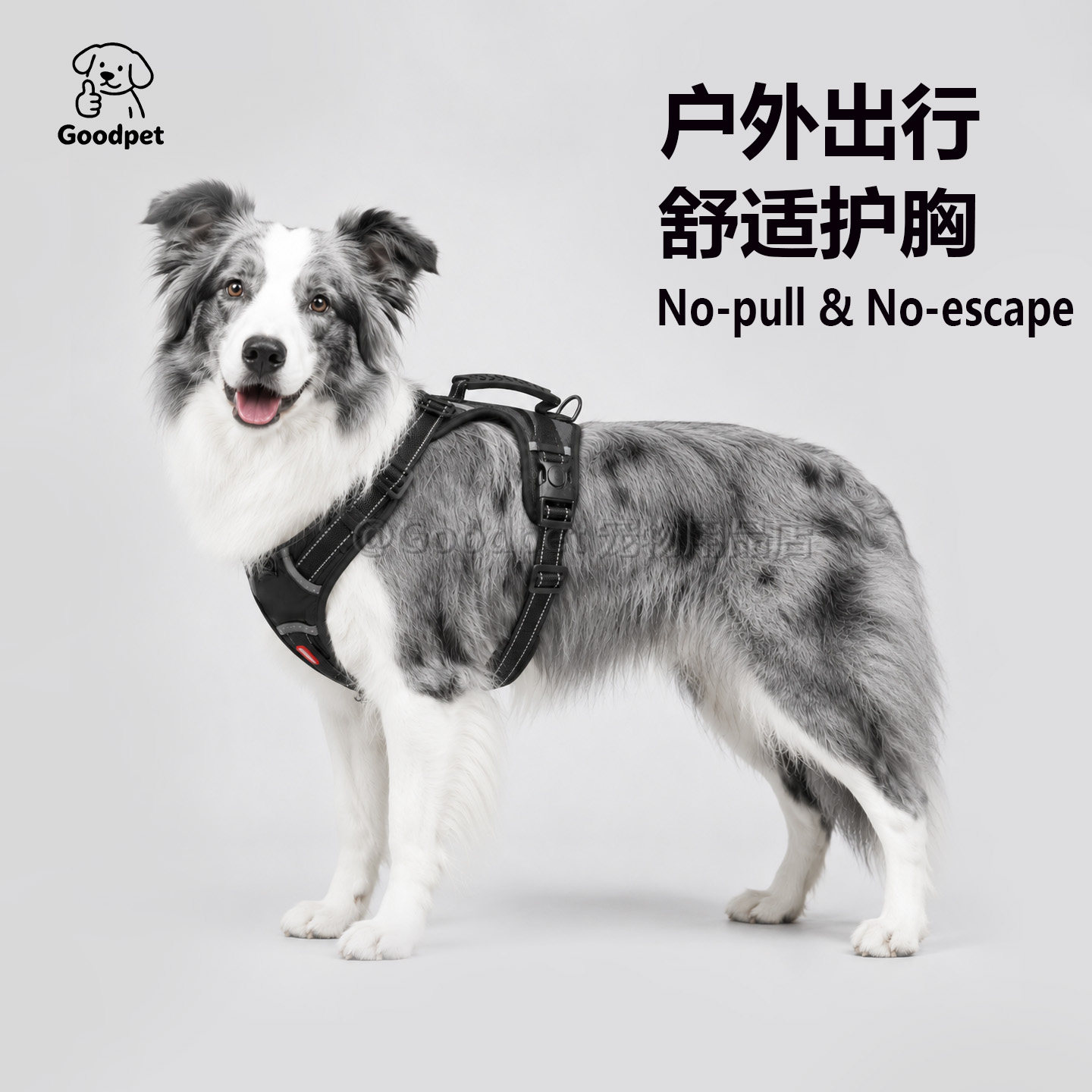中大型犬防爆冲训练胸背带