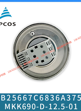 现货 EPCOS 风力发电电容器 B25667C4866A375 MKK480-D-6.3-01