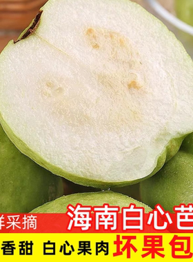 海南白心芭乐奶油味软糯香甜新鲜水果大果整箱装孕妇水果