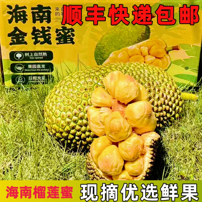 海南保亭金钱蜜榴莲蜜 新鲜当季 热带水果 糯甜顺丰包邮