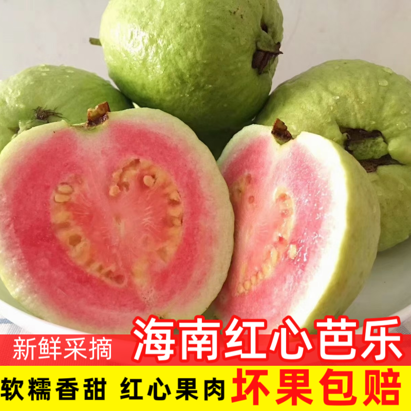 海南红心芭乐 新鲜当季水果 软糯香甜 整箱4现摘现发 芭乐番石榴