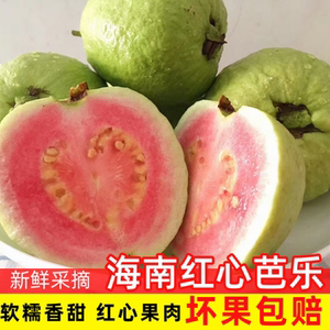 海南红心芭乐 新鲜当季水果 软糯香甜 整箱4现摘现发 芭乐番石榴