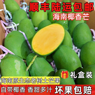 海南鸡蛋芒椰香芒原始生态老品种顺丰包邮多汁香甜当季新鲜水果