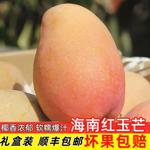海南红玉芒椰香芒礼盒装大果当季新鲜水果顺丰包邮送礼佳品
