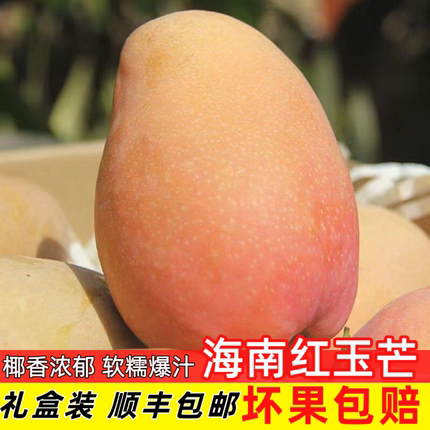 海南红玉芒椰香芒礼盒装大果当季新鲜水果顺丰包邮送礼佳品