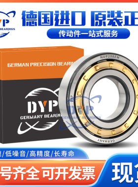 德国进口DYP圆柱滚子轴承 N 312 313 314 315 316 317 318 319 EM