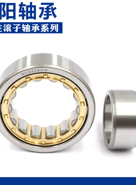 洛阳轴承 N NU NJ RN NUP NF 2310 2311 2312 2313 E M C3 4
