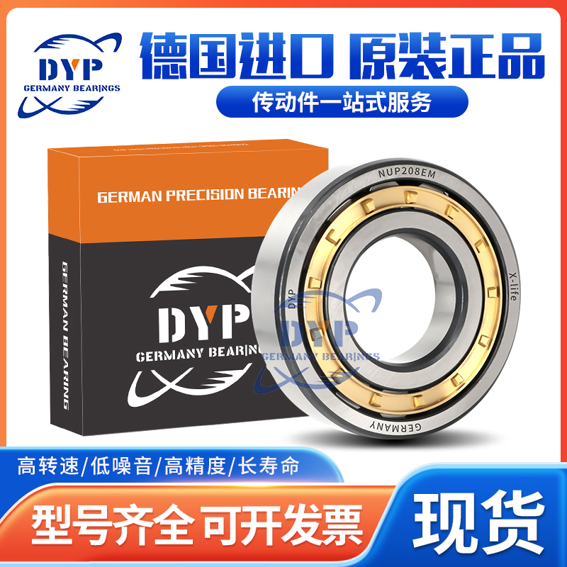 德国进口DYP圆柱滚子轴承 N 1008 1009 1010 1011 1012 1013 EM