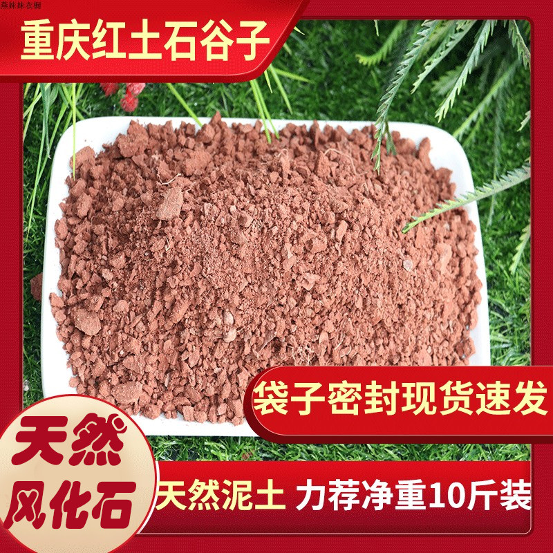 重庆红泥土风化土石谷子兰花多肉多种植物营养土颗粒酸性盆栽包邮