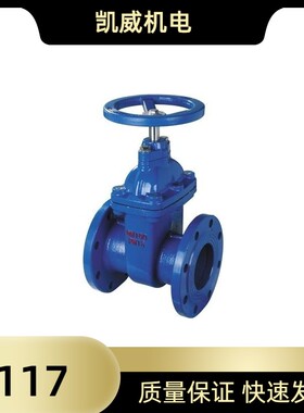 Z45X-16弹性座封软密封法兰闸阀DN40-500消防闸阀 软密封闸阀蓝色