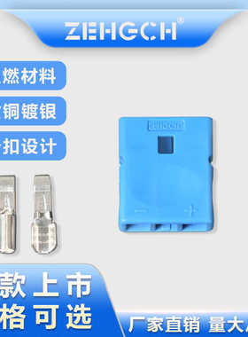 泽弘安德生双极30-45A插头锂电池电瓶车蓄电池电动换电扫地机方形
