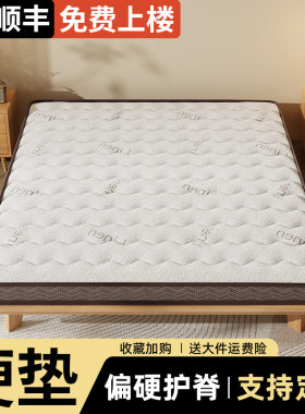 天然椰棕床垫硬垫子家用卧室偏硬棕榈护腰护脊10厘米床垫租房专用