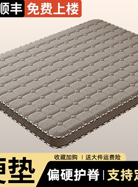 棕垫天然椰棕床垫3e环保硬垫子家用卧室10公分床垫2米乘2米全中垫