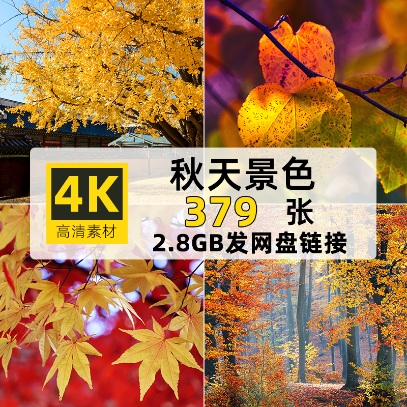 360张秋天景色高清大图4K背景壁纸自媒体PPT设计绘画秋天图片素材