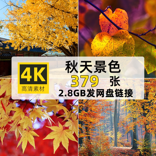 360张秋天景色高清大图4K背景壁纸自媒体PPT设计绘画秋天图片素材