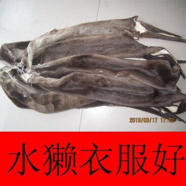 加工定做男女时尚款式中长短裘皮草水獭貂皮各种色彩大衣马甲帽子