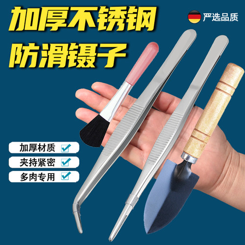 多肉工具组合不锈钢镊子园艺铲子浇水壶三件套新手种植多肉夹刷子