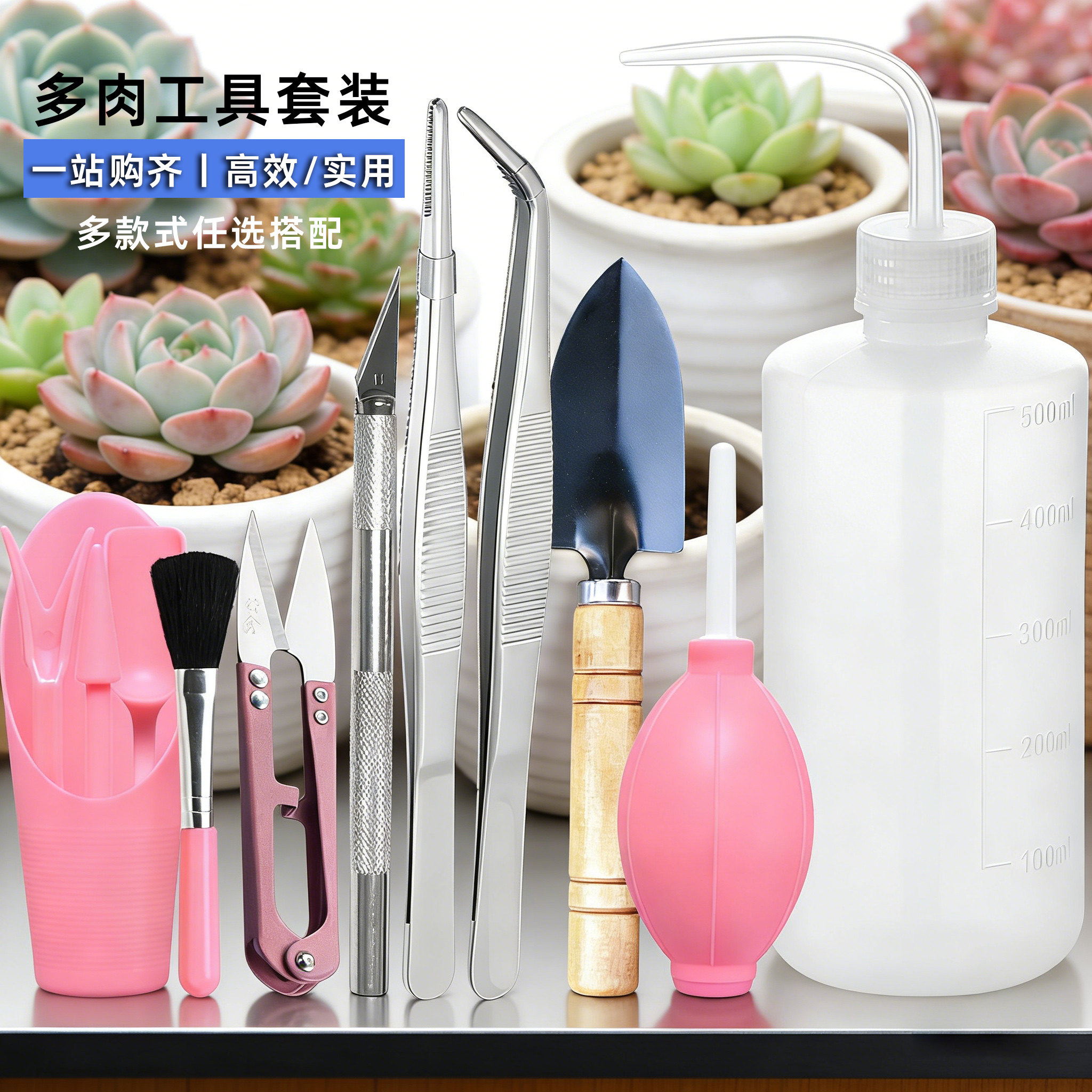 多肉专用工具套装镊子夹多肉种植一整套修根养护三件套铲子养花壶