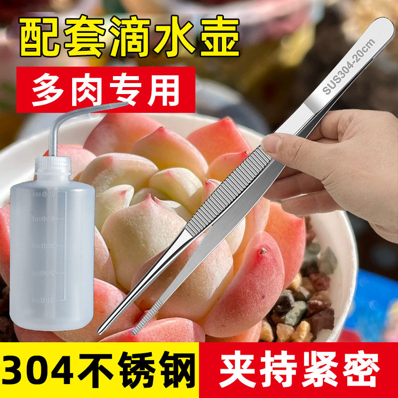 304不锈钢镊子配套滴水壶