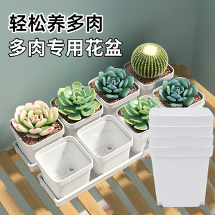多肉专用花盆小白方透气简约白色方形塑料底座托盘小号耐用种多肉