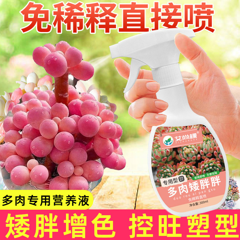 免稀释直喷营养液植物多肉