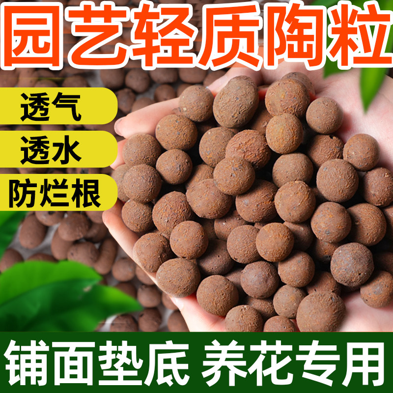 多肉专用陶粒垫底铺面