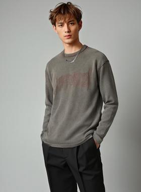 WG春秋男士男生圆领T恤灰色华夫格英文刺绣复古做旧割破休闲潮流