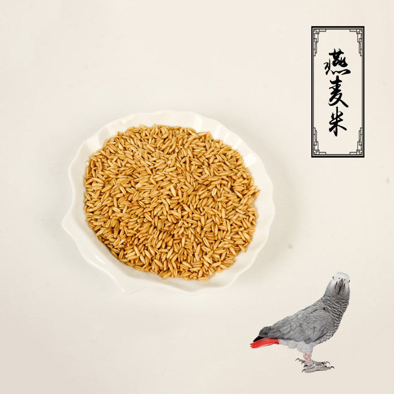 燕麦米/鸟食/鸟粮/雀麦/野麦/燕麦仁/虎皮鹦鹉/牡丹玄风五斤包邮