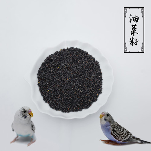 鸟食油菜籽/特价新鲜250g芙蓉鸟