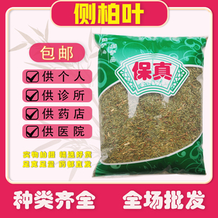 野生柏树叶 侧柏叶 中草药柏树叶1000克 发正品 安国中药材市场批