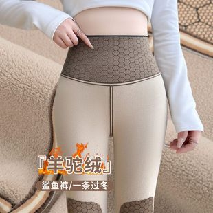 外穿瑜伽紧身打底裤 加绒鲨鱼裤 加厚东北过冬棉裤 2025新款 女秋冬季