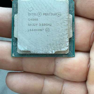 议价英特尔CPU G4560+1个，可维修