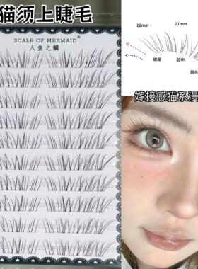 清冷毛流感猫须睫自然灵动仿真