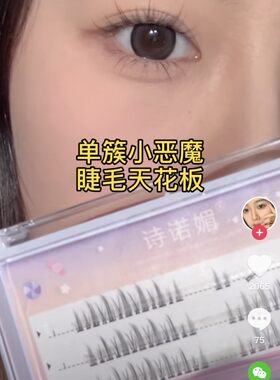单簇小恶魔假睫毛诗诺q01分段